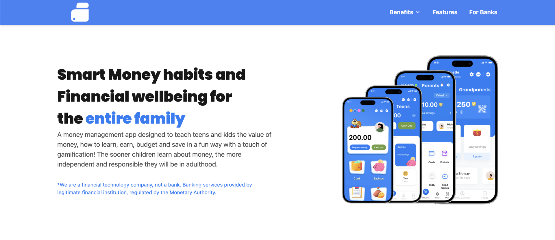 screenshot of little wallet website